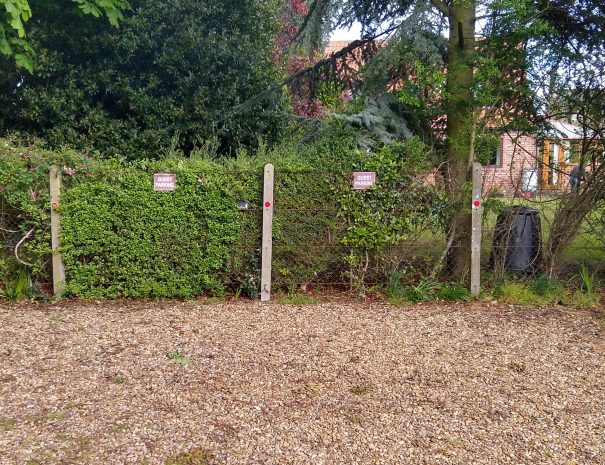 Guest parking